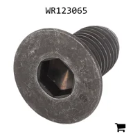 AGCO WR123065 Винт
