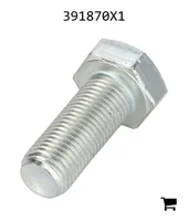 AGCO 391870X1 Болт с шестигранной головкой