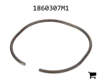 AGCO 1860307M1 Стопорное кольцо