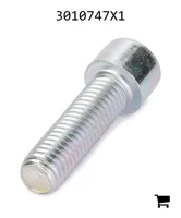 AGCO 3010747X1 Винт с цилиндрической головкой и шестигранным углублением