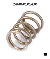 AGCO 246860101430 Пружина сжатия