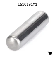 AGCO 1610191M1 Игольчатый подшипник задней оси