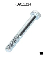 AGCO R3011214 Винт