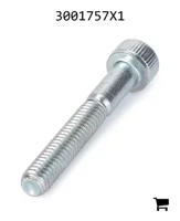 AGCO 3001757X1 Винт с шестигранной головкой