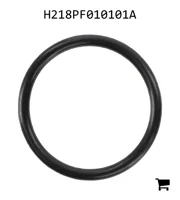 AGCO H218PF010101A Уплотнительное кольцо