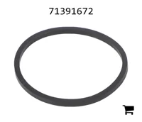 AGCO 71391672 Уплотнение