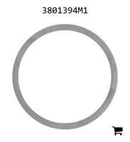 AGCO 3801394M1 Шайба