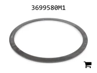 AGCO 3699580M1 Пружина