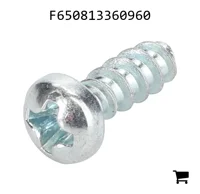 AGCO F650813360960 Винт