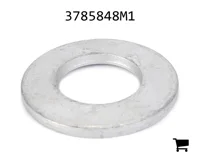 AGCO 3785848M1 Плоская шайба
