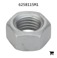 AGCO 6258115M1 Гайка