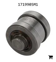 AGCO 1719905M1 Подшипник
