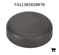 AGCO F411301020070 Крышка