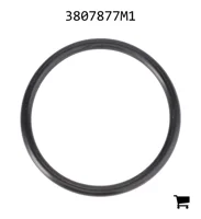 AGCO 3807877M1 Уплотнительное кольцо коробки передач