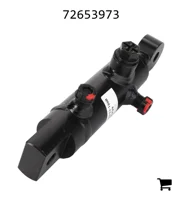AGCO 72653973 Гидроцилиндр