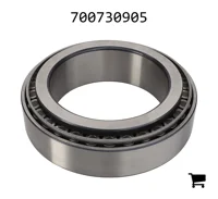 AGCO 700730905 Подшипник