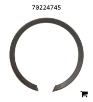 AGCO 70224745 Кольцо