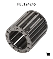 AGCO FEL124245 Роликовый подшипник