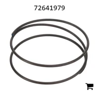 AGCO 72641979 Пружина