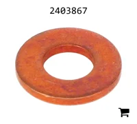 AGCO 2403867 Кольцо