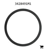 AGCO 3428491M1 Регулировочная шайба