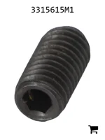 AGCO 3315615M1 Винт с цилиндрической головкой