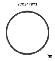 AGCO 3702478M1 Уплотнительное кольцо
