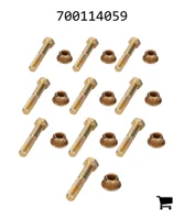 AGCO 700114059 Комплект срезных болтов предохранительной муфты вальцевого пресса