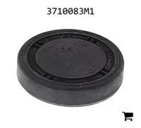 AGCO 3710083M1 Заглушка