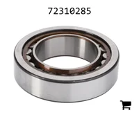 AGCO 72310285 Цилиндрический роликовый подшипник