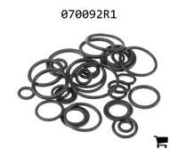 AGCO 070092R1 Ремкомплект