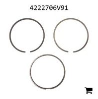 AGCO 4222706V91 Комплект поршневых колец