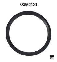 AGCO 380021X1 Прокладка