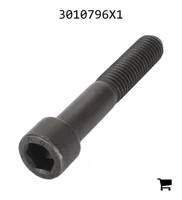 AGCO 3010796X1 Винт с цилиндрической головкой и шестигранным углублением