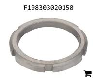 AGCO F198303020150 Круглая шлицевая гайка