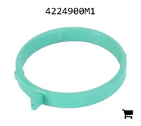 AGCO 4224900M1 Уплотнительное кольцо