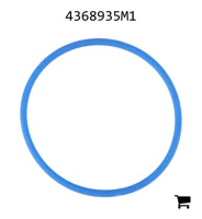 AGCO 4368935M1 Уплотнительное кольцо гидроподъемника, Ø 16,90 X 2,70 мм