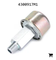 AGCO 4300917M1 Сапун (фильтр)