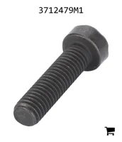 AGCO 3712479M1 Винт с потайной головкой
