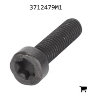 AGCO 3712479M1 Винт с потайной головкой