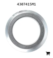 AGCO 4307415M1 Прокладка