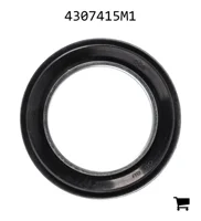 AGCO 4307415M1 Прокладка