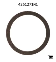 AGCO 4261271M1 Кольцо