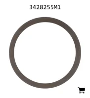 AGCO 3428255M1 Шайба