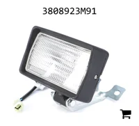 AGCO 3808923M91 Фара рабочего света с лампой H3