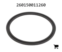 AGCO 260150011260 Радиальное сальниковое уплотнение вала