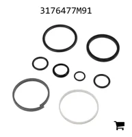 AGCO 3176477M91 Ремкомплект
