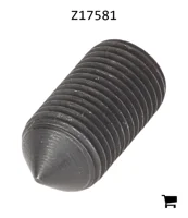 AGCO Z17581 Винт