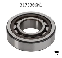 AGCO 3175306M1 Подшипник