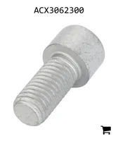 AGCO ACX3062300 Винт с цилиндрической головкой и шестигранным углублением